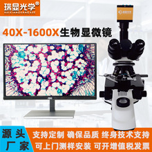 ���@��W�����@΢�R���I���^�켚������΢����ˮ�|�z�y�@΢�R