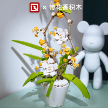 ǘeľ辰b[mõ廨yDIYƴbY