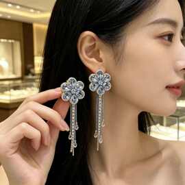 气质精致爱心流苏耳坠网红长款耳钉女一款两戴锆石耳环轻奢耳饰品