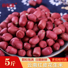 �����؛���tƤ������/3��/5��С�������������t�����t�»�������