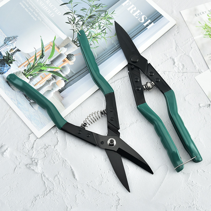 不锈钢园林树枝剪果园花枝摘果剪农用疏果剪刀稀果稀花摘花剪