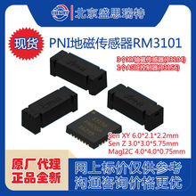 PNI RM3100�شŴ�����ר������MagIC 13156���12927 13104 13101