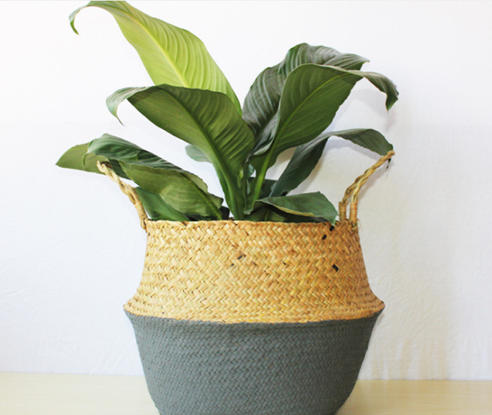 微信截图_20221220225411