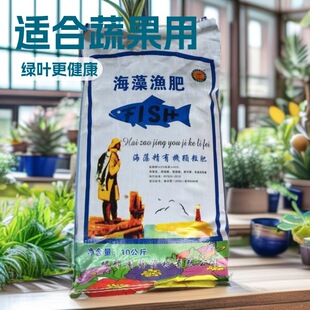 �G�� ���徫�ڶ��� ����O�� �G�~ ���� ����  �ЙC����10�����b
