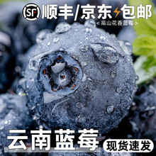 ����{ݮ�r�����rˮ�������������w�{÷�����ɽ�����ЋD��S���]