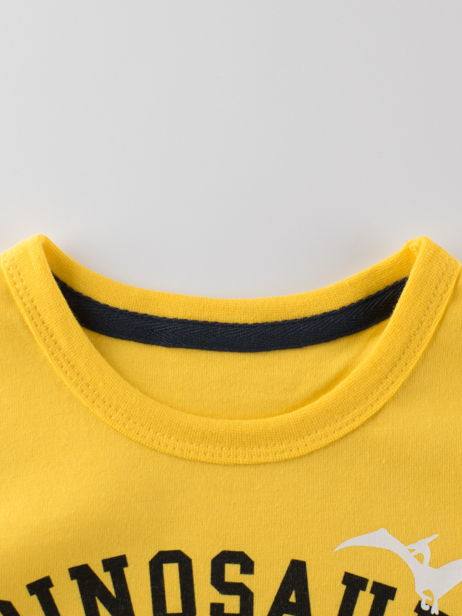 Ropa infantil transfronteriza GRRR, suministro en vivo, novedades de otoño 2024, camiseta con estampado de dinosaurio, camiseta de manga larga para niños y niñas