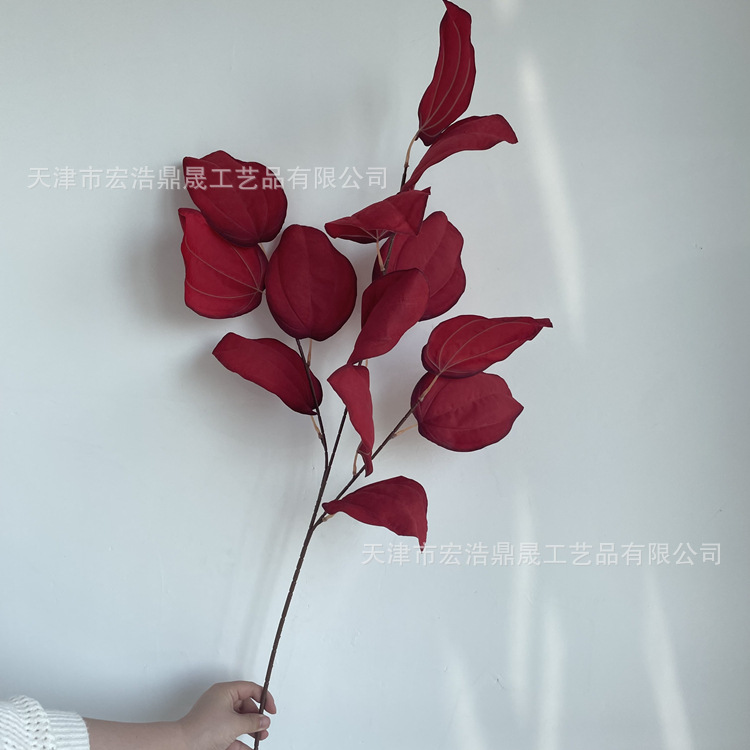 微信图片_202205021521404_副本