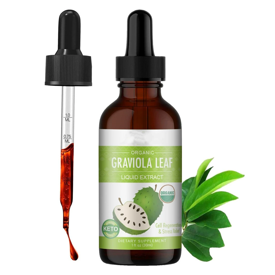 Источник производителей Amazon Горячие продажи колючих ягод капли листьев ягод-Ciguo Annona Leaf