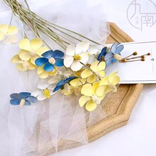 批发紫罗兰永生花花店插花云南天然干花白色永生蝴蝶兰一件代发
