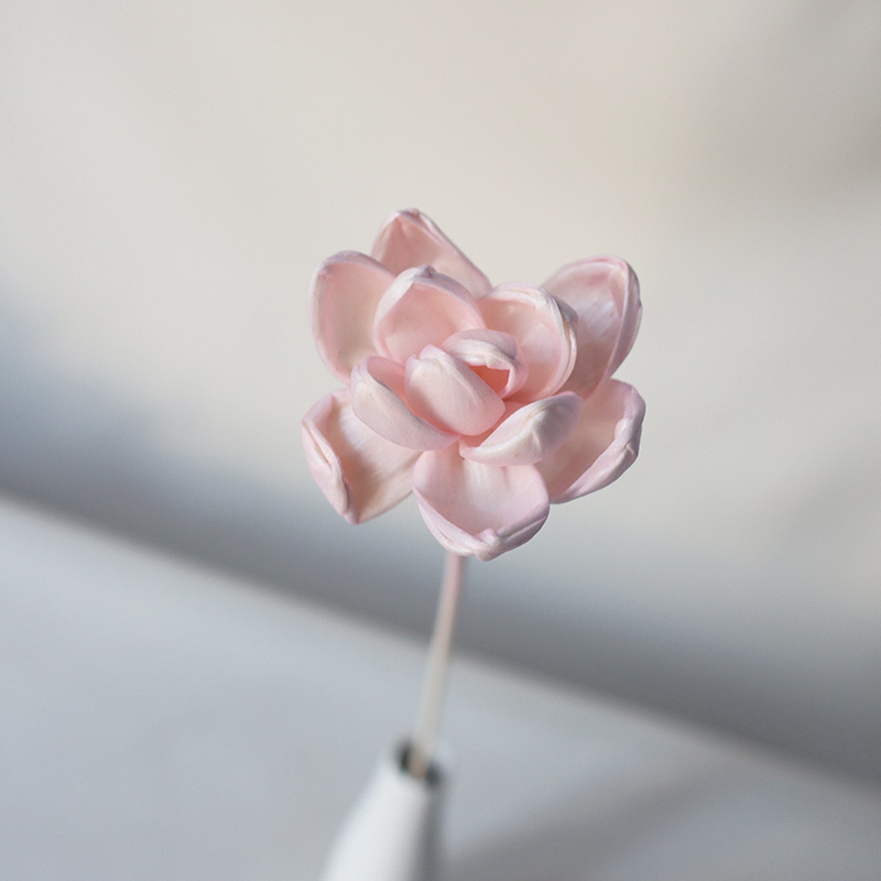 Un pequeño nenúfar rosa claro mide unos 30 cm de largo.