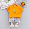 Summer summer clothing, children's set, flower boy costume, children's clothing, wholesale, with short sleeve