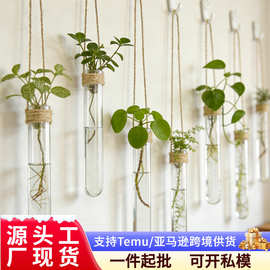 壁挂试管花瓶家居装饰麻绳悬挂水培试管免打孔墙面装饰套装