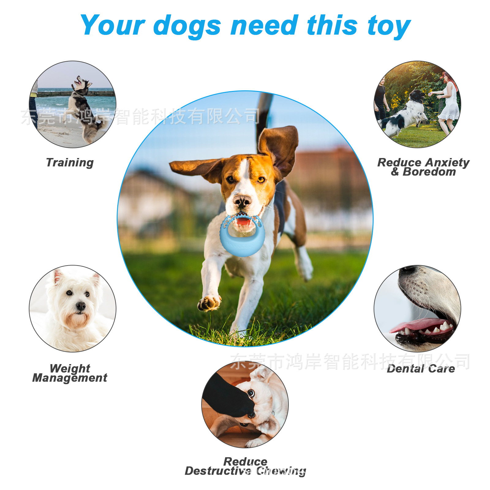 Toy