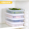 sanada Japan Imported Refrigerator storage box Dumplings box Quick-freeze Crisper food Crisper 1.5L Cold boxes