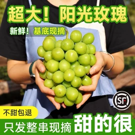 桃子;葡萄、提子;其他水果