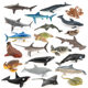 Mini sea creature model whale shark turtle dolphin small animal toy set Science and Education cognitive ornaments