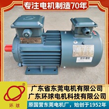 广东东莞环球三相电机Y2VF132M2-6-5.5KW变频调速电动机B35立卧式