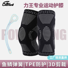 ���I�\���oϥ�ߏ�͸���T���o�Ƚ����ܲ��x��ᘿ��o�ߏ���֧���oϥ