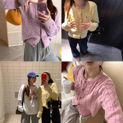 乖乖女穿搭 腊肠狗刺绣羊毛麻花毛衣外套女针织上衣
