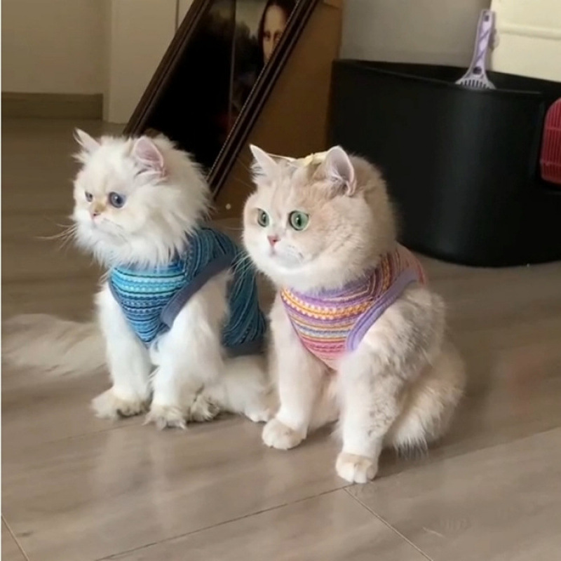 Cute ropa de gato de verano delgada hueco chaleco de tejido de color con hebilla de tracción muñeca gato chaleco de oro