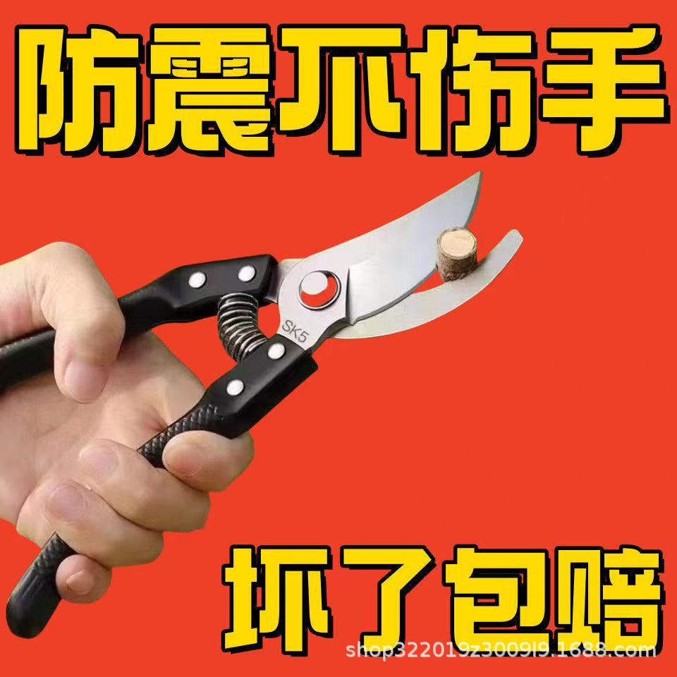 微信图片_202509181038362.jpg