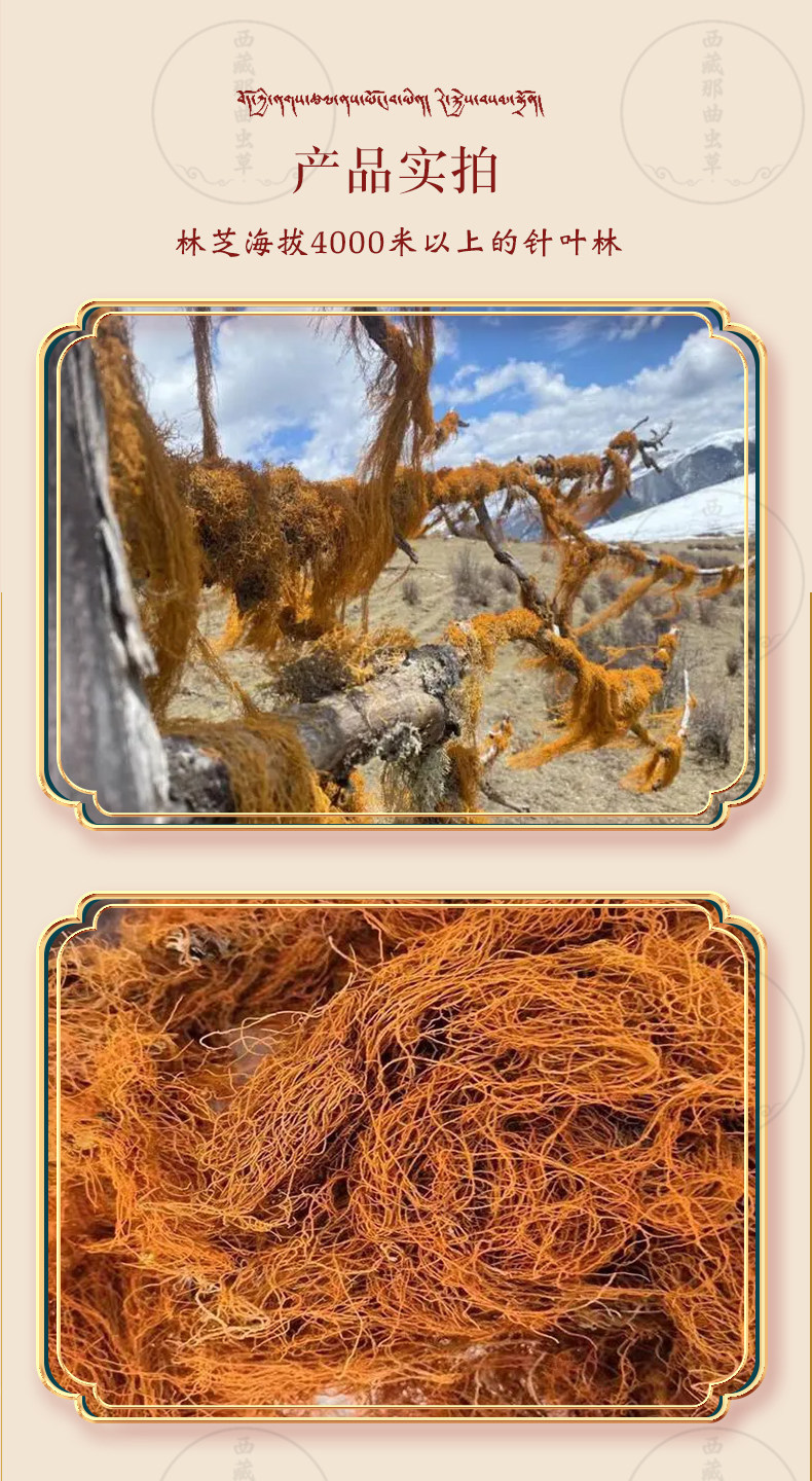 Red Snow Tea Hong Xue Cha Wild Tibetan Herbal Tea 100g Sulfur Free Dried Loose Tea for Daily Brewing key features
