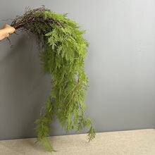 �����Fڡާ����Gֲ �͹����f�ڒ��ٗl ��Y����ܛ�b�쾰�ٻ�