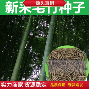 �²����ӷN�� ë��N�� ���� ����N�� ����N�� ������ ���N��