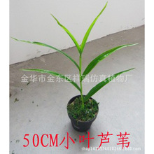 �����JȔ�~С�JȔ�~�����ֲ���JȔ���ɻ��٘��~�����^���@���l