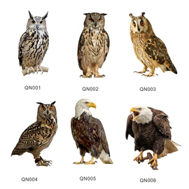 墙贴;壁挂、壁饰;玻璃贴