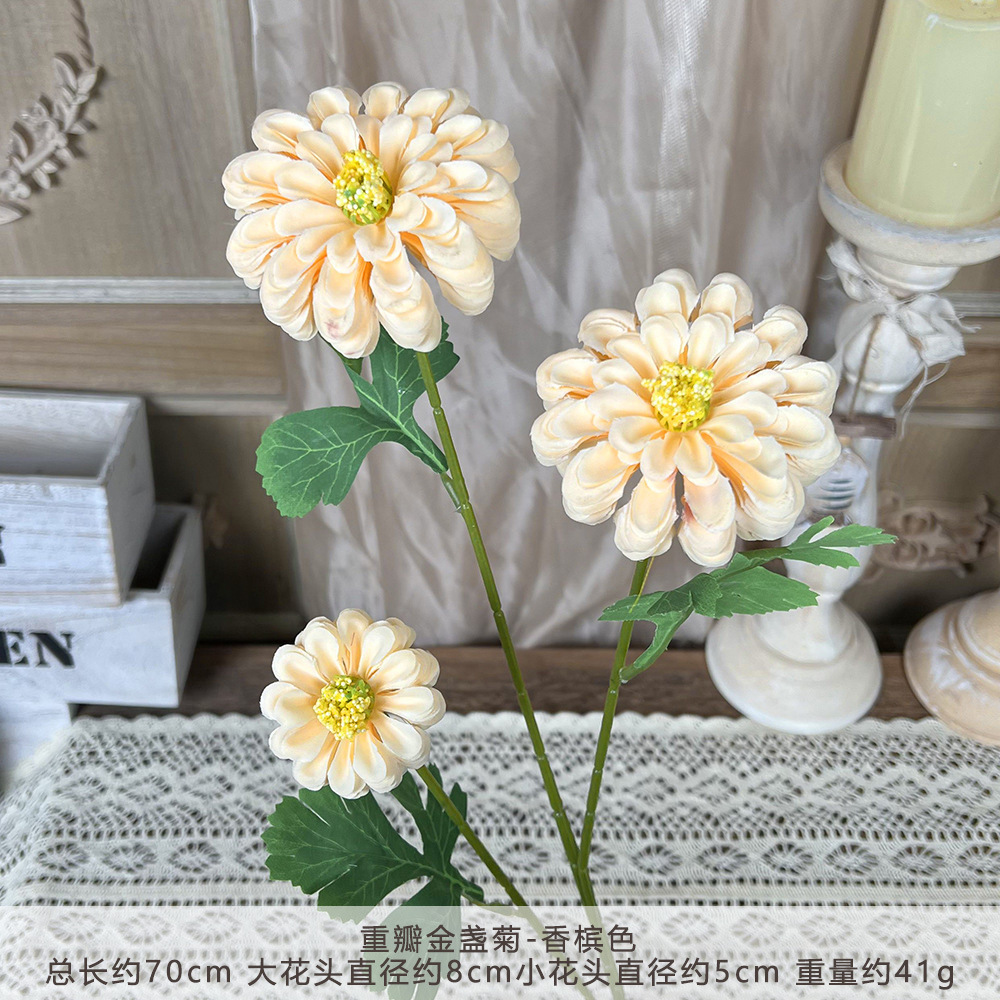 YM-重瓣金盏菊-香槟色