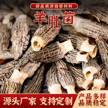 羊肚菌大量批发干货菌菇煲汤食材精选剪柄干货当季足干头茬厚肉