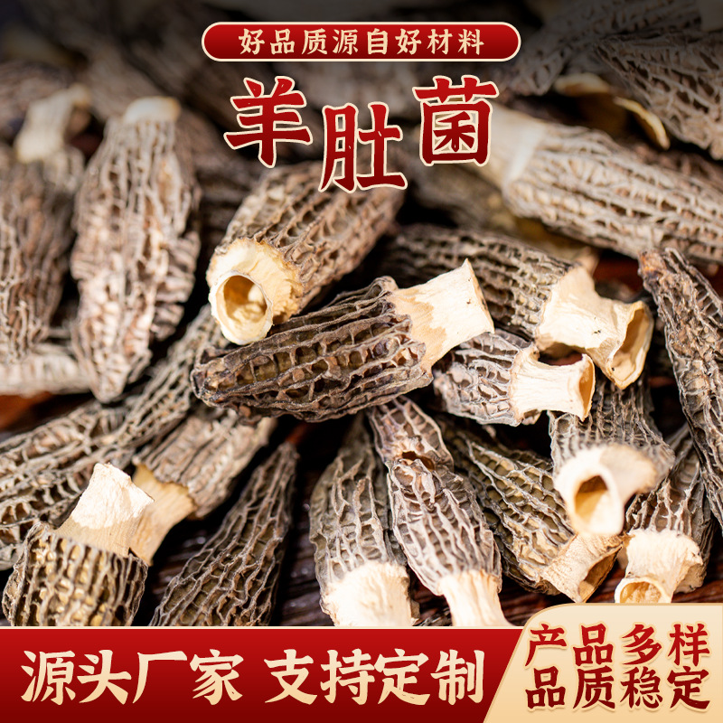 羊肚菌大量批发干货菌菇煲汤食材精选剪柄干货当季足干头茬厚肉
