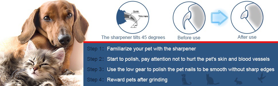 IMG_1999(20231023-103825)