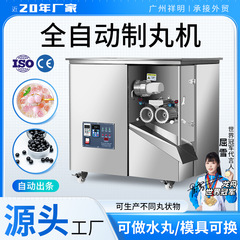 祥明DXZ-80F全自動漢方薬製丸機水蜜丸泥丸香芋真珠湯円揉丸錠剤機