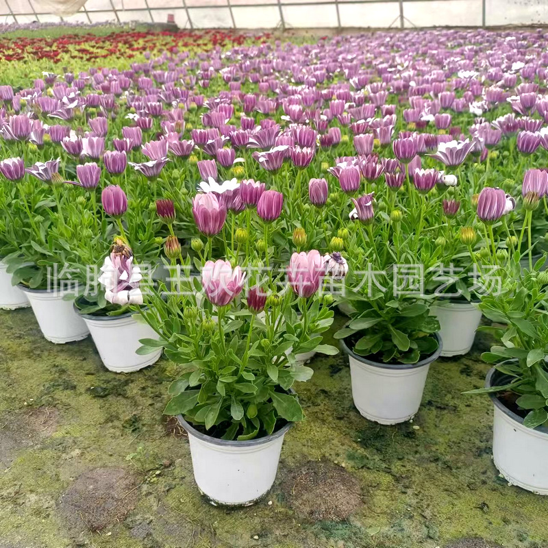 be15d163-fdd7-44c6-b4ac-fd4574