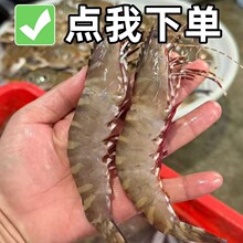 ����ī�r�ش����r�ك��߹��r��S��机��rˮ�a���r55/���ش��r