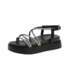 Black rhine