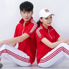 中高年スーツ夏ボランティア半袖佳木斯広場舞団体服ダンス服フィットネス体操徒歩チーム