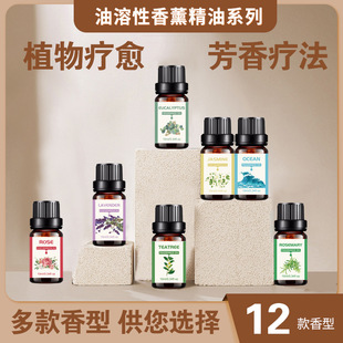 ���R�d�羳������޹���� 10ml õ����޹�²ݾƵꌣ�ÏS�����l