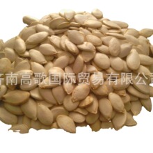 ���ҳ����ṩ����Ϲ���Shine Skin Pumpkin Seeds&nbsp;��ӭѡ��