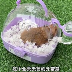 ハムスターテイクアウトケージ、ポータブルケージ、外出用大スペース、透明小型ペットゴールデンハムスターテイクアウトケージ、ポータブルケージ