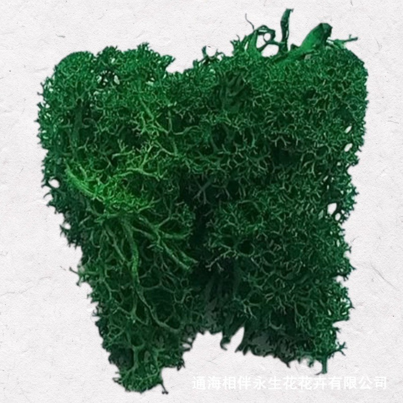 Malachite Green·Eternal Moss