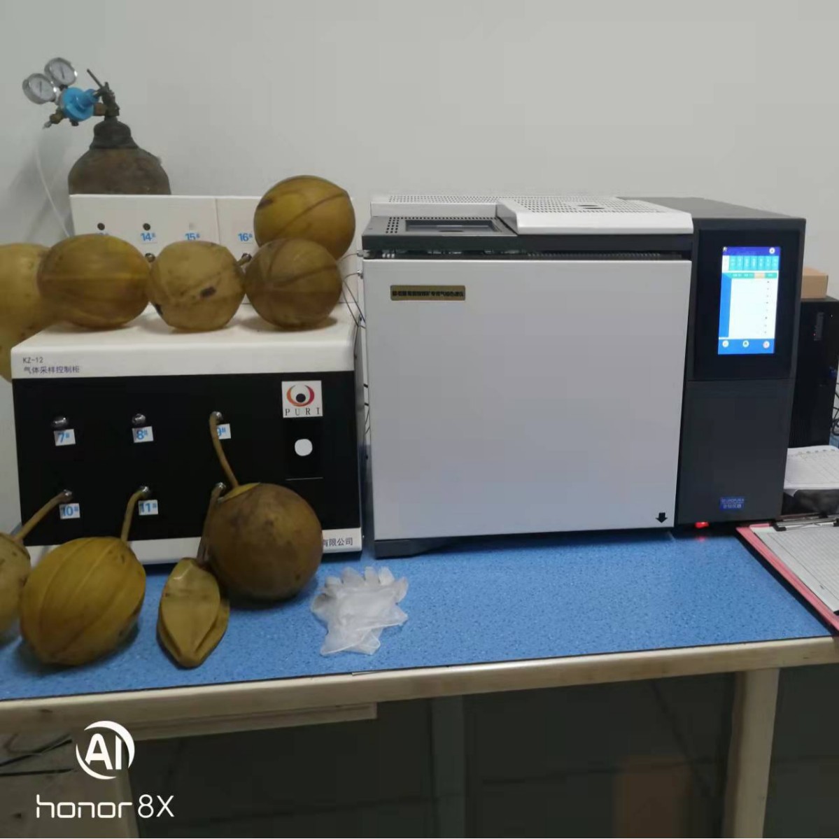 2024-12-20 14:52:04.jpg