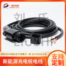 ����Դ��늘�늾� EV�߉���늄���܇��늘��� ��늘��C�Ⱦ����^��