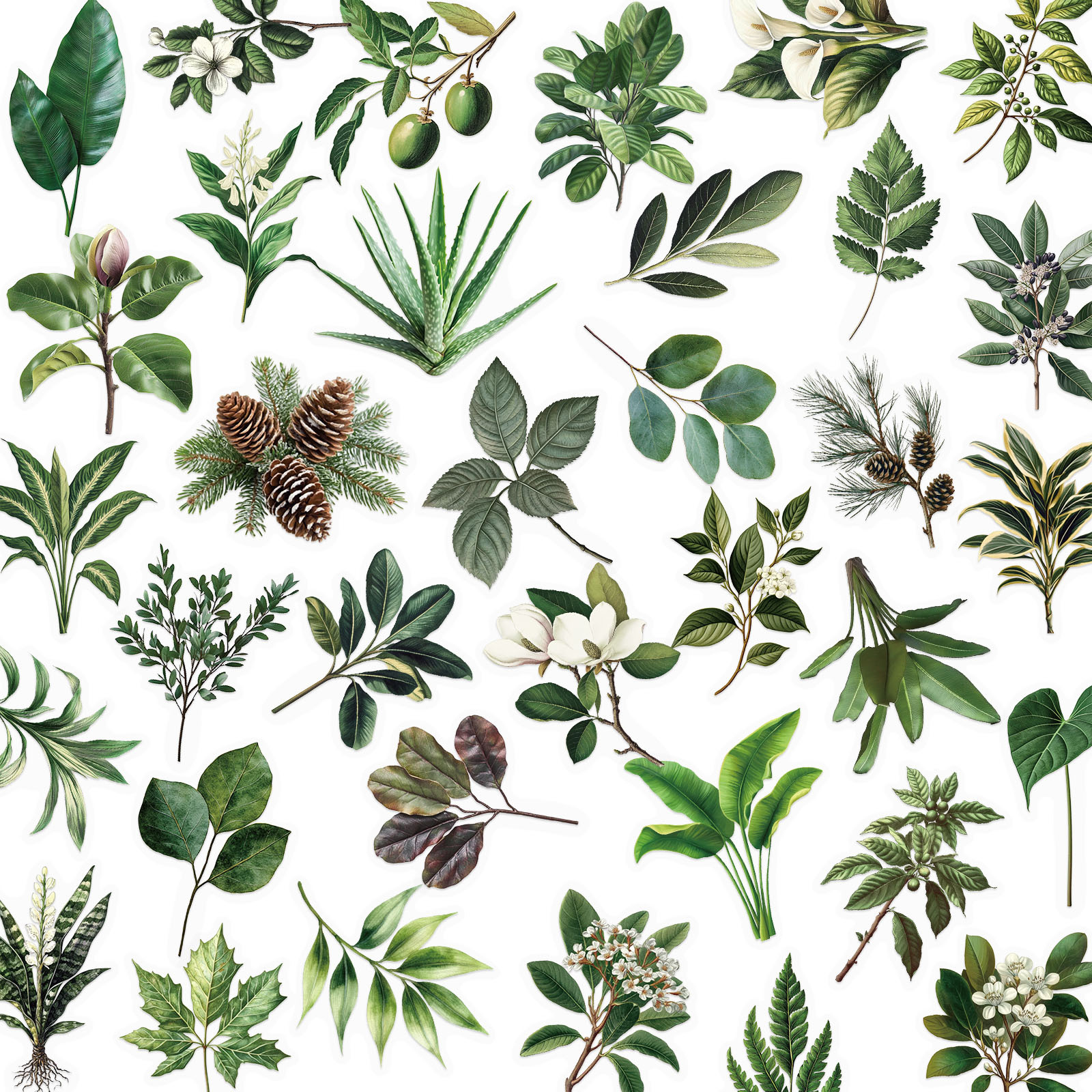 50 hojas verdes transparentes paquete de pegatinas a prueba de agua PET decoración de cuentas de mano cuaderno de guitarra pegatinas de plantas verdes creativas image 5