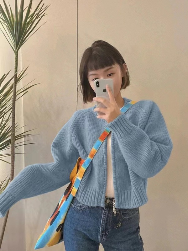 2025秋冬新款宽松灰色短款毛衣外套女装加厚拉链长袖针织开衫上衣|undefined