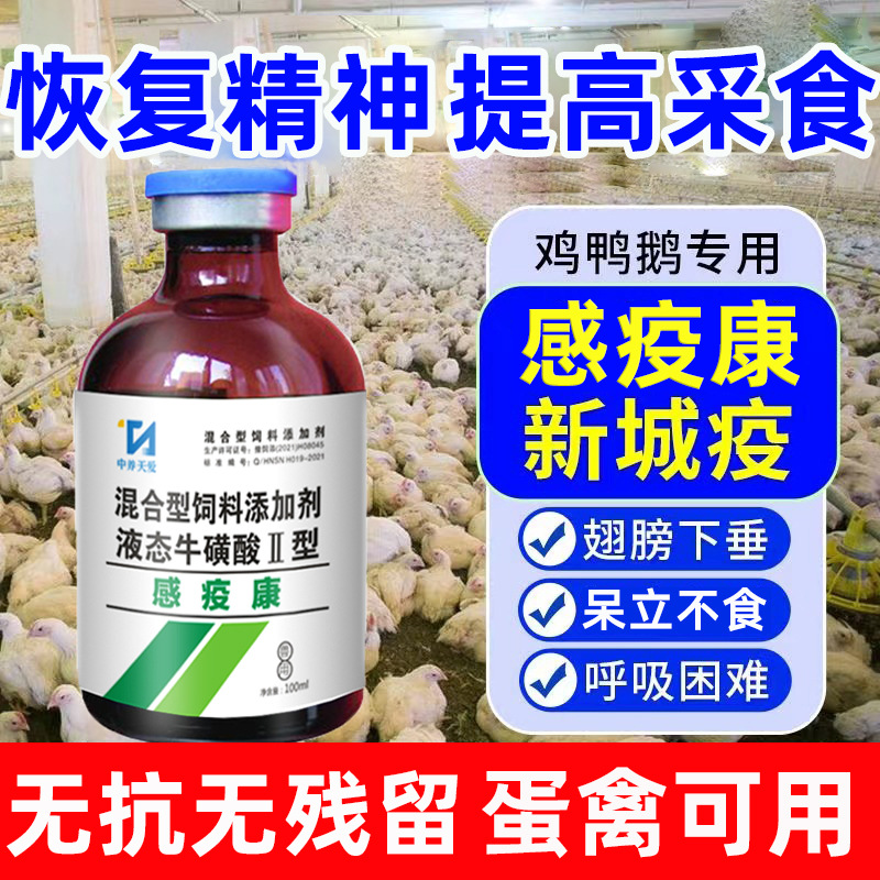 养鸡专用药鸡药大全呼噜怪叫呆立不食闭眼发热抗病毒呼吸道鸭鹅药