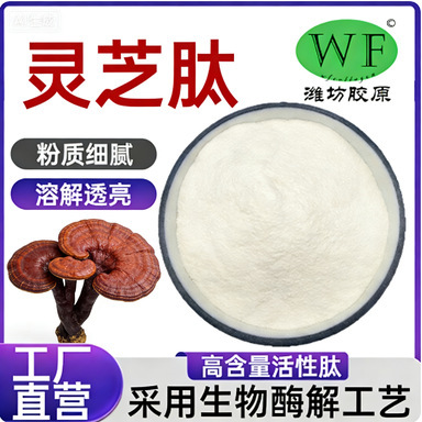 Ganoderma Lucidum Peptide Powder, Ganoderma Lucidum Hydrolyzate, Ganoderma Lucidum Polypeptide Powder, Protein Small Molecule Peptide, Ready Stock, Food Ingredient a