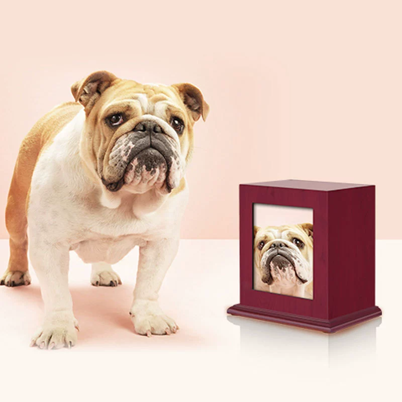 Трансграничный в наличии красный пепел красная основа из цельного дерева мемориальная урна для домашних животных с фоторамкой похороны собак из цельного дерева